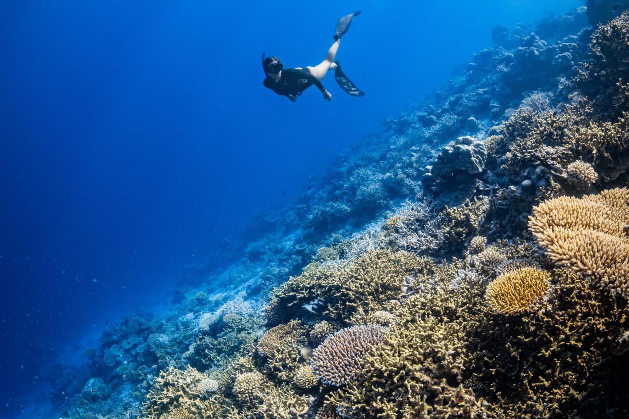 Park Hyatt Maldives Hadahaa Hotel Kondey Bagian luar foto