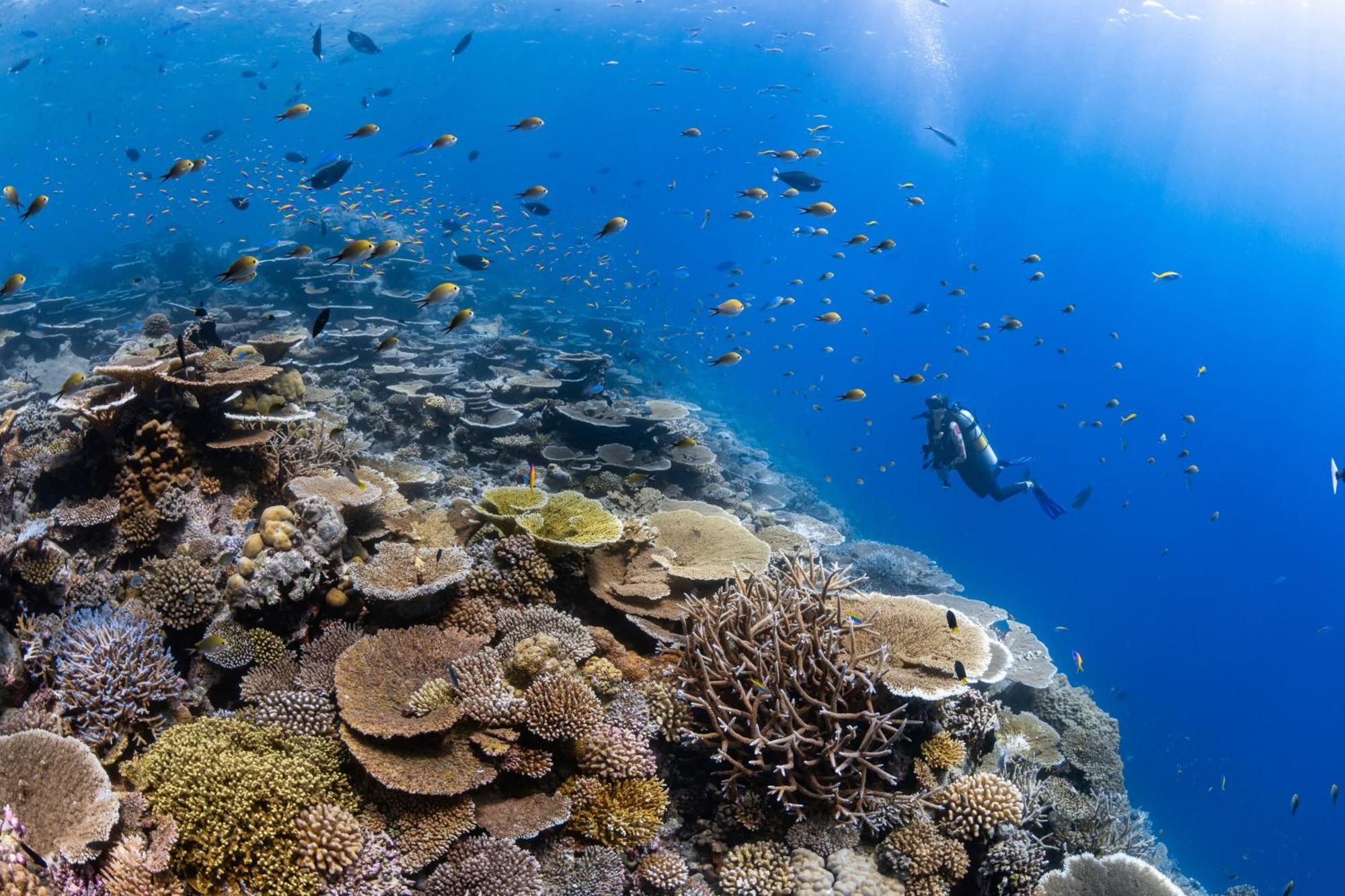 Park Hyatt Maldives Hadahaa Hotel Kondey Bagian luar foto