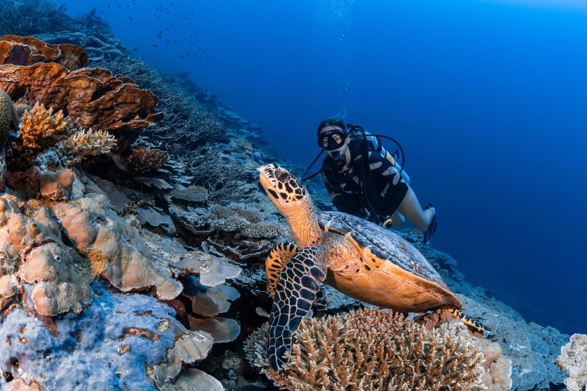 Park Hyatt Maldives Hadahaa Hotel Kondey Bagian luar foto