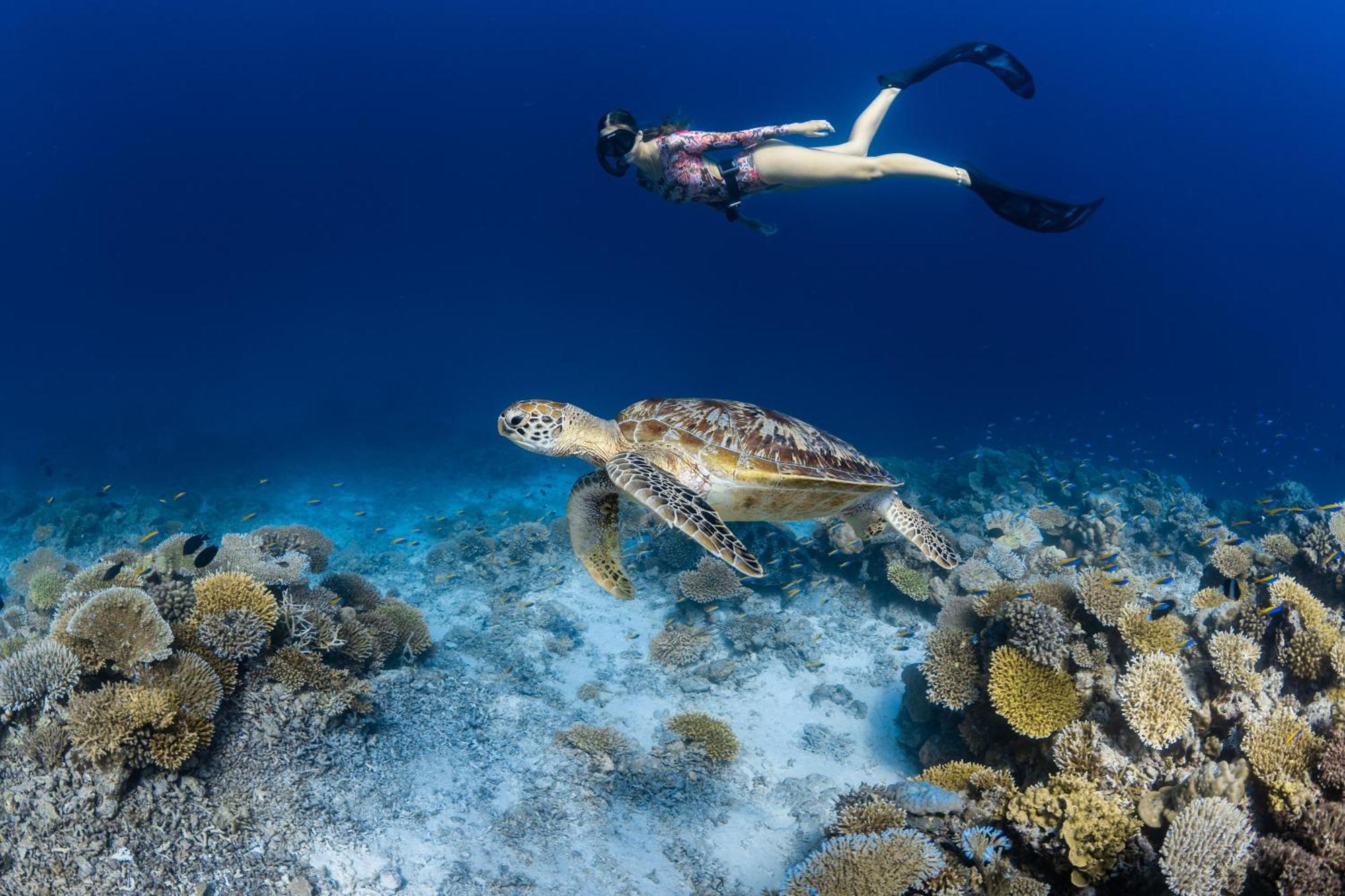 Park Hyatt Maldives Hadahaa Hotel Kondey Bagian luar foto