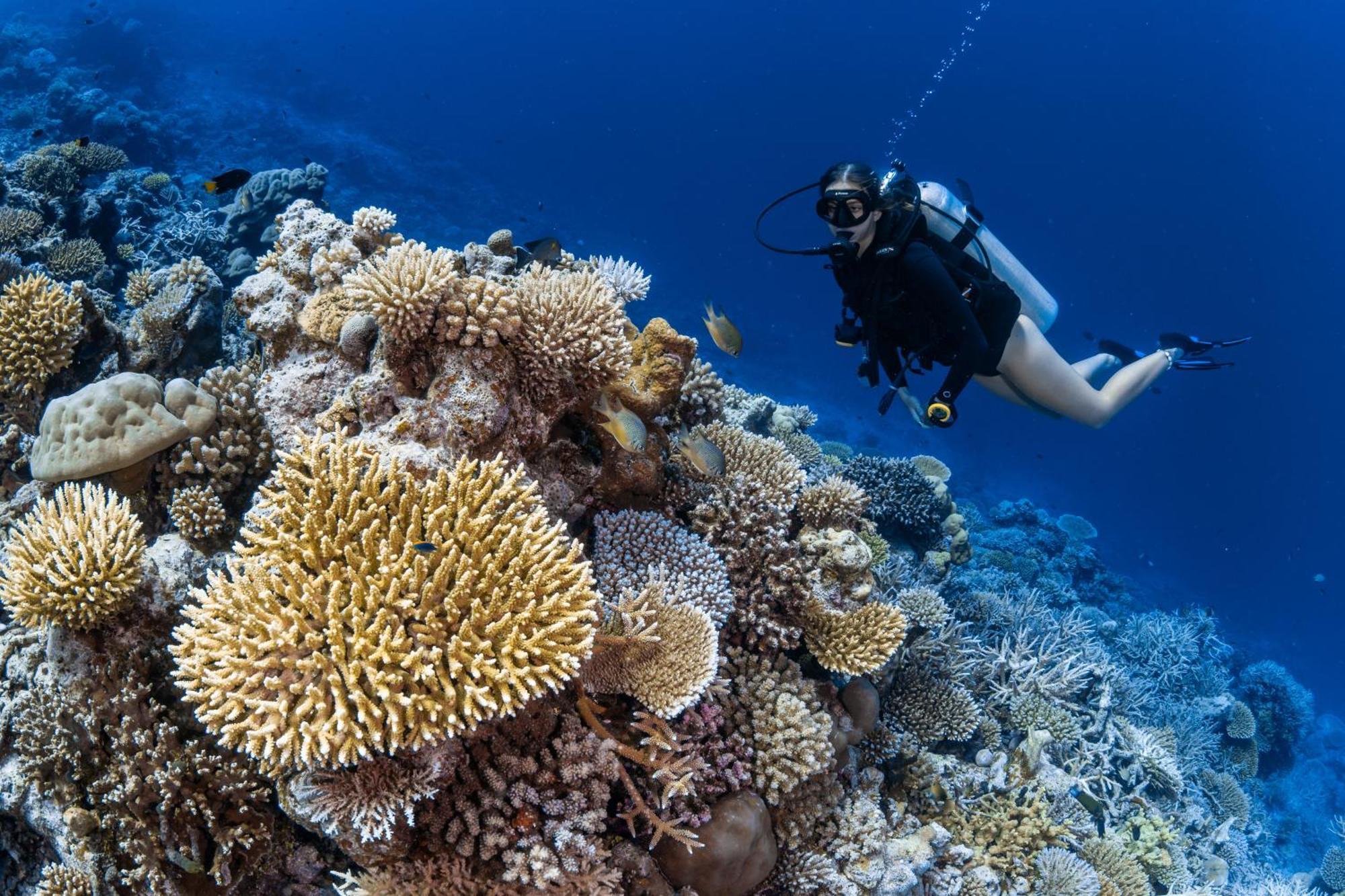 Park Hyatt Maldives Hadahaa Hotel Kondey Bagian luar foto