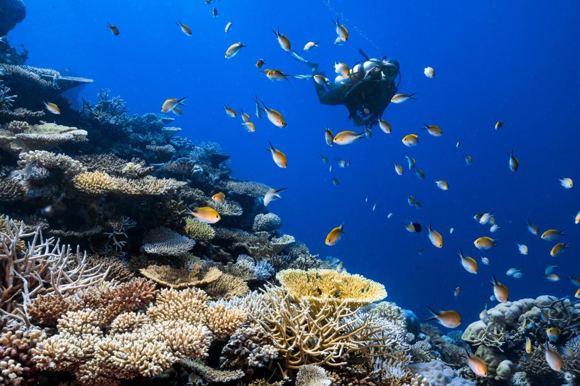 Park Hyatt Maldives Hadahaa Hotel Kondey Bagian luar foto