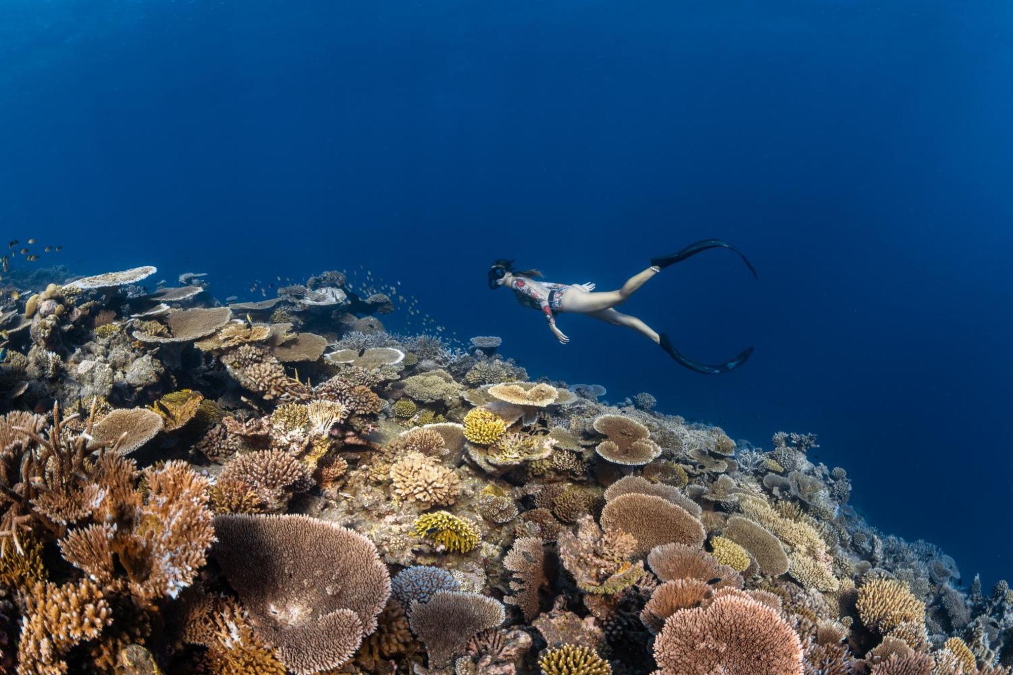 Park Hyatt Maldives Hadahaa Hotel Kondey Bagian luar foto