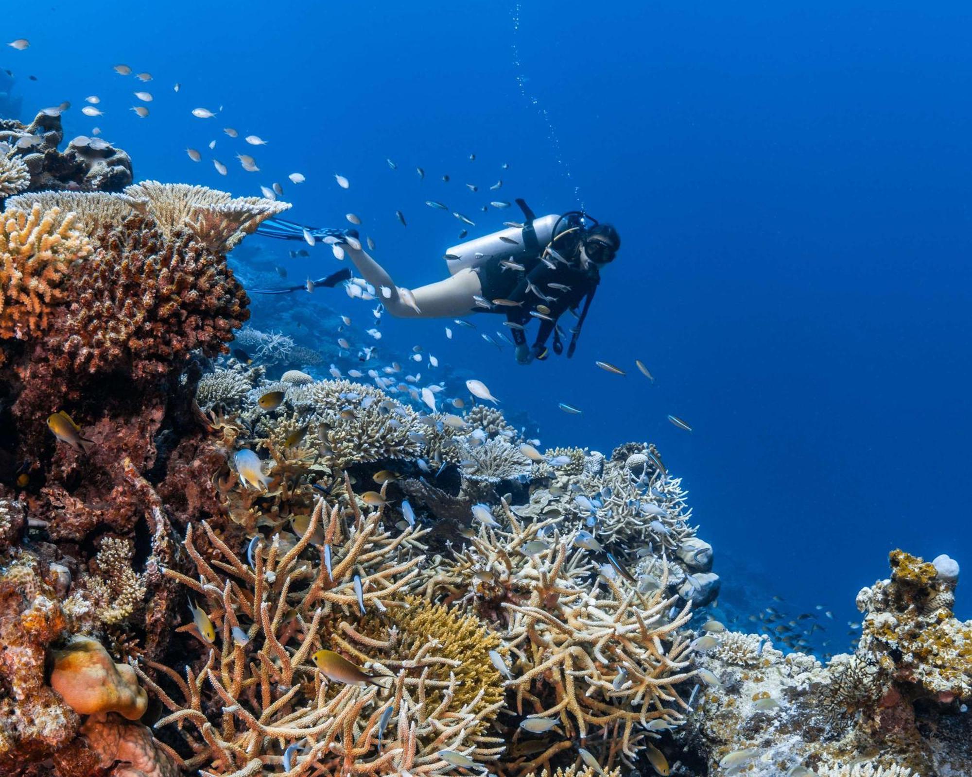 Park Hyatt Maldives Hadahaa Hotel Kondey Bagian luar foto